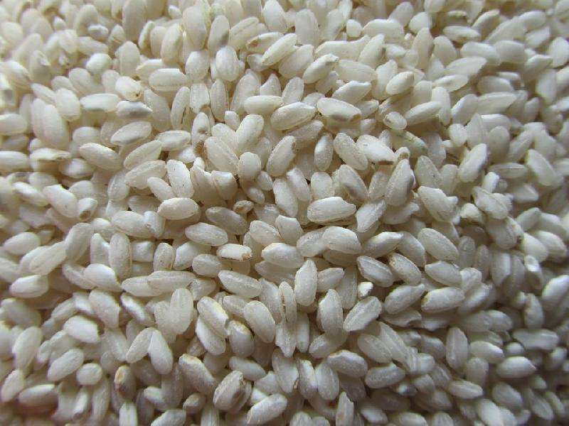 南方大米安徽农家早稻米早籼米新米杂交肠粉米粉条无粘性炒饭熬粥