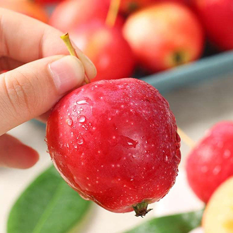 新疆正宗香妃海棠果小苹果3斤4斤礼盒盒装当季其它