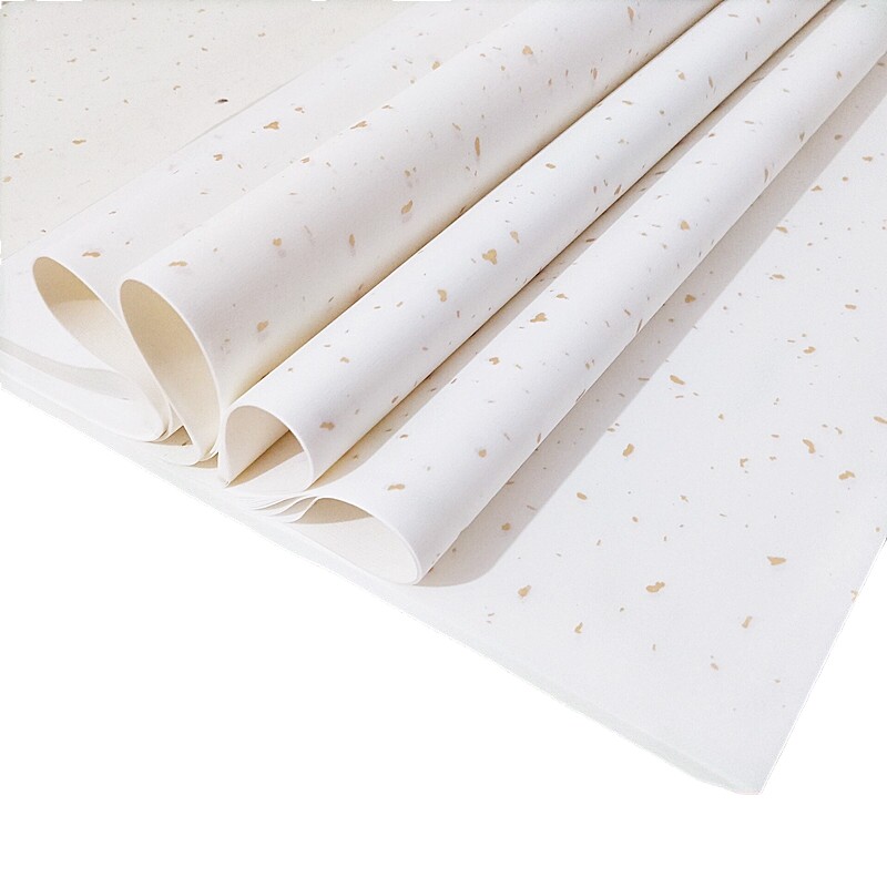 创作国画书法半生半熟二龙戏珠洒金烫金生宣六尺四尺宣纸