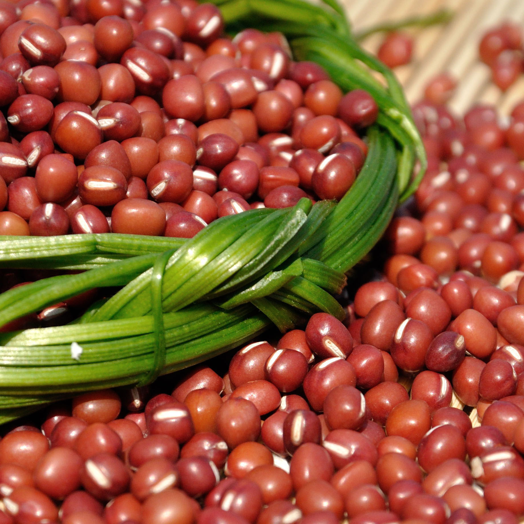 东北农家自产产自红小豆1斤1袋5斤包邮小红豆红豆