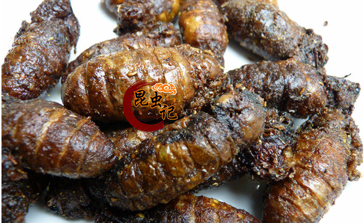 蚕蛾满籽母营养美味柞蚕嫩蛾15只昆虫其它干货