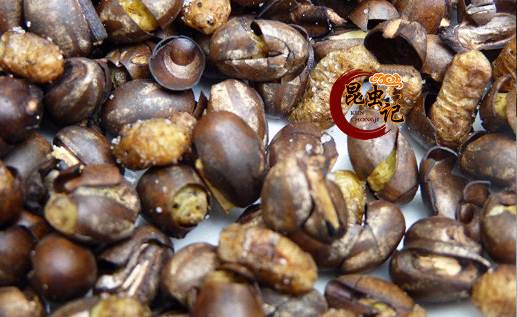 杨拉罐食用昆虫美食洋辣子波刺毛八甲子蛋50克昆虫记