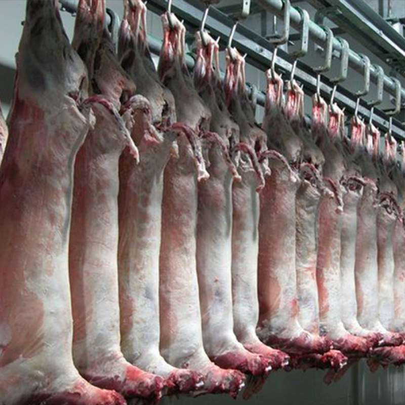 新疆羊肉尉犁县20斤罗布不带胴体全羊真空顺丰生羊肉