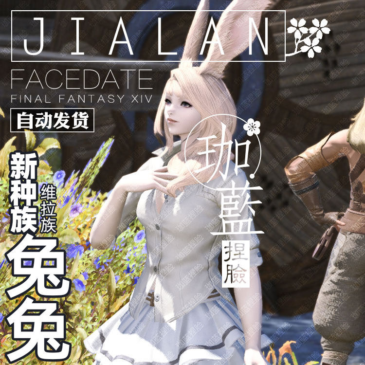 珈蓝最终幻想ff14捏脸数据维拉兔子族兔女兔娘白兔其它设计服务