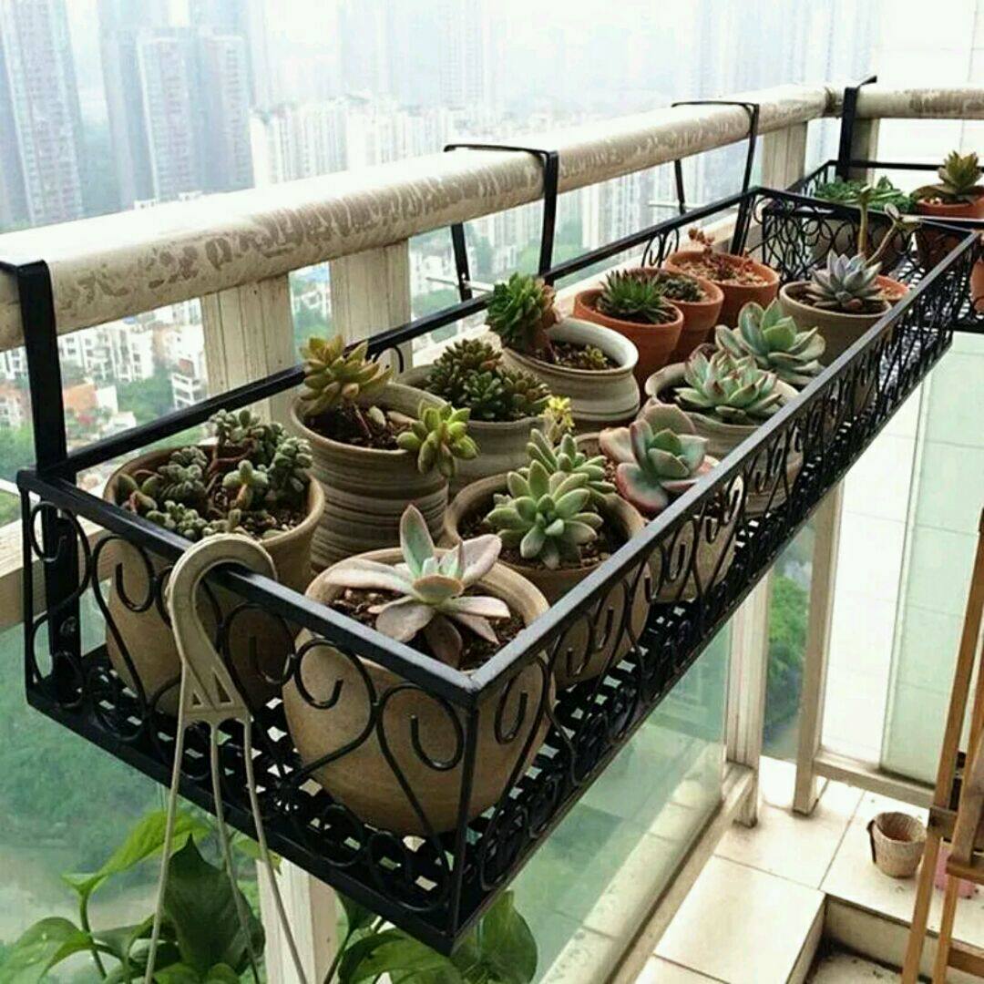 花架阳台栏杆吊兰多层挂墙置物架铁艺悬挂植物花架