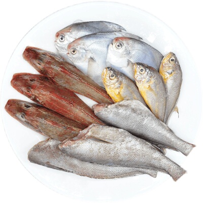 青岛海杂鱼冷冻海鲜鱼类海鱼少刺3斤鲳鱼黄鱼红娘其它