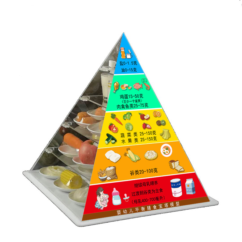 新版中国婴幼儿平衡膳食营养宝塔金字塔健康饮食指导仿真水果