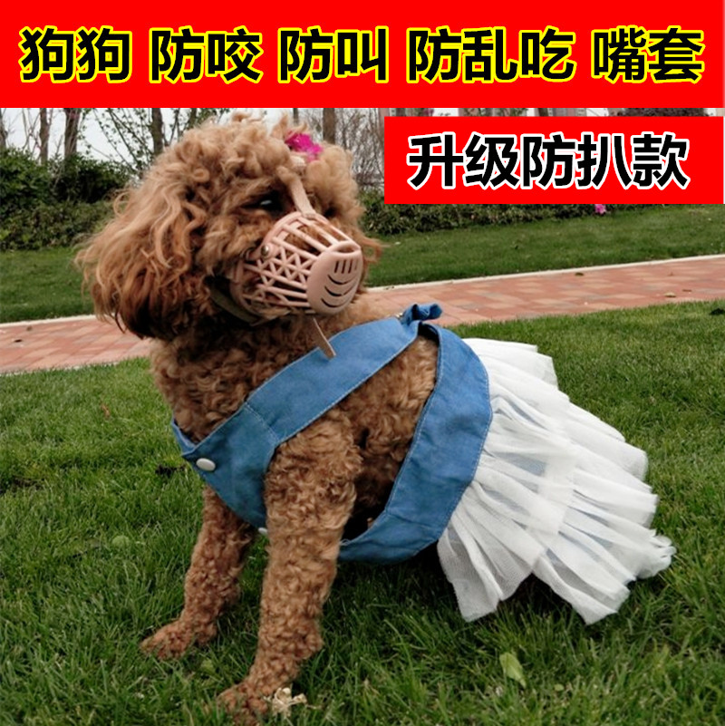 狗狗小狗博美口笼抖音防狗护具牙套防咬法斗嘴套