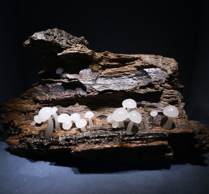 摆件玉石桂林鸡血朗料蘑菇勃勃生机招财辟镇玉雕摆件