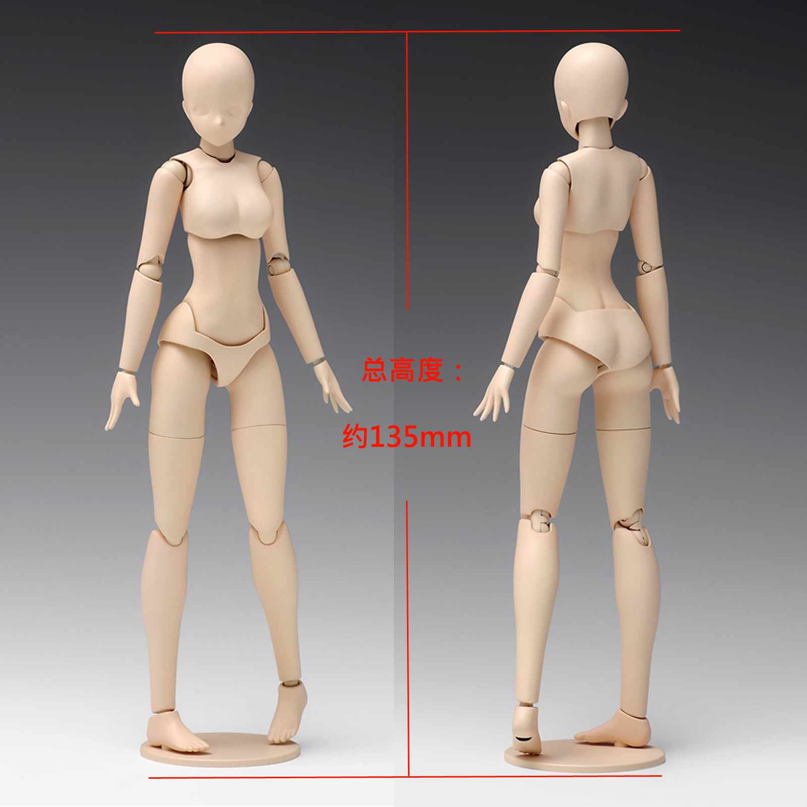 日本wave素体人体模型绘画女人人偶关节可动手办