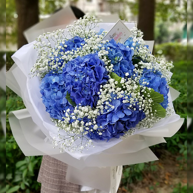 进口粉色满天星干花手捧绣球混搭鲜花上海同城速递生日大花束配送