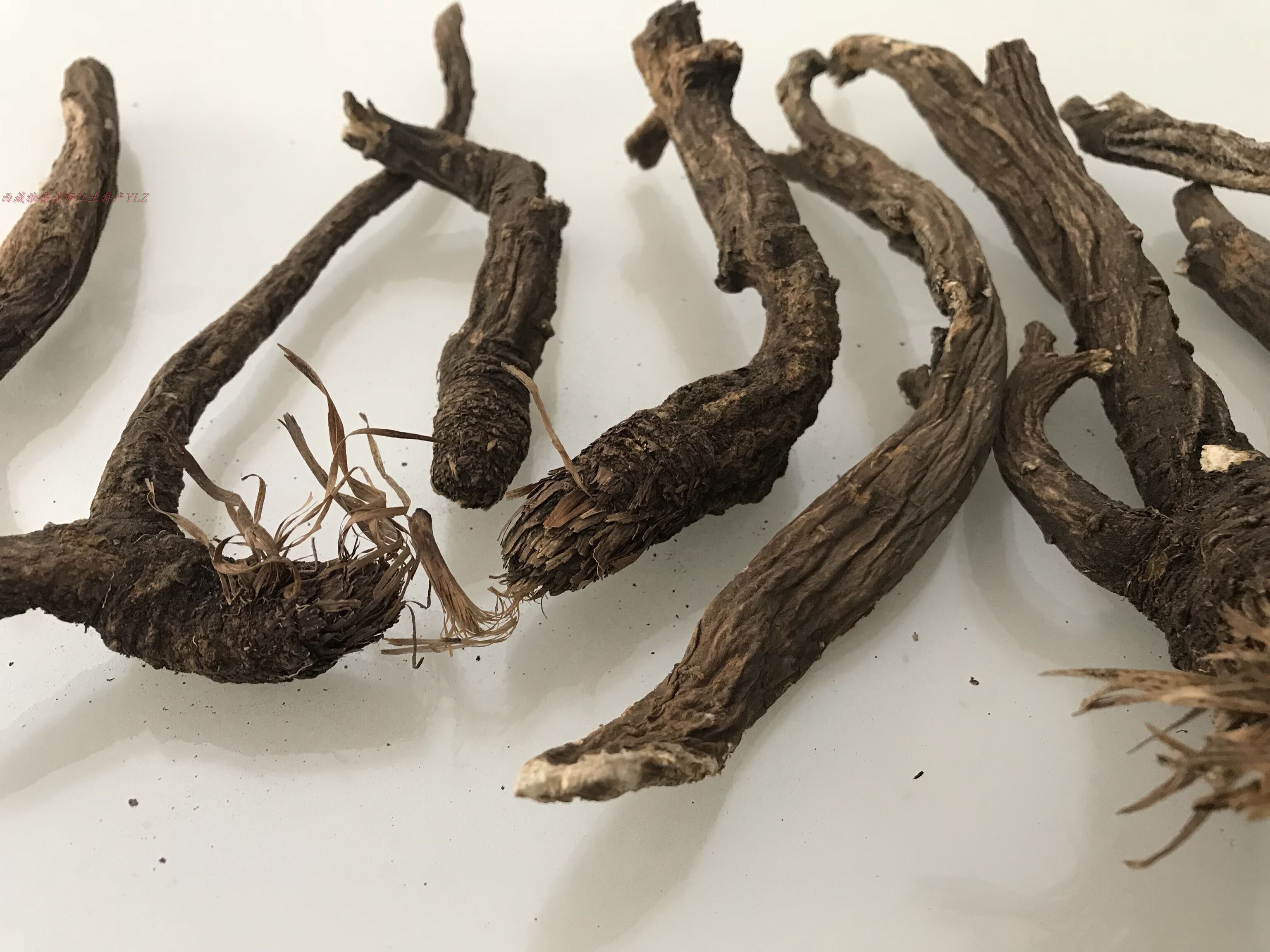 林芝当归250g西藏纯野野生一根30300克特有味道当归