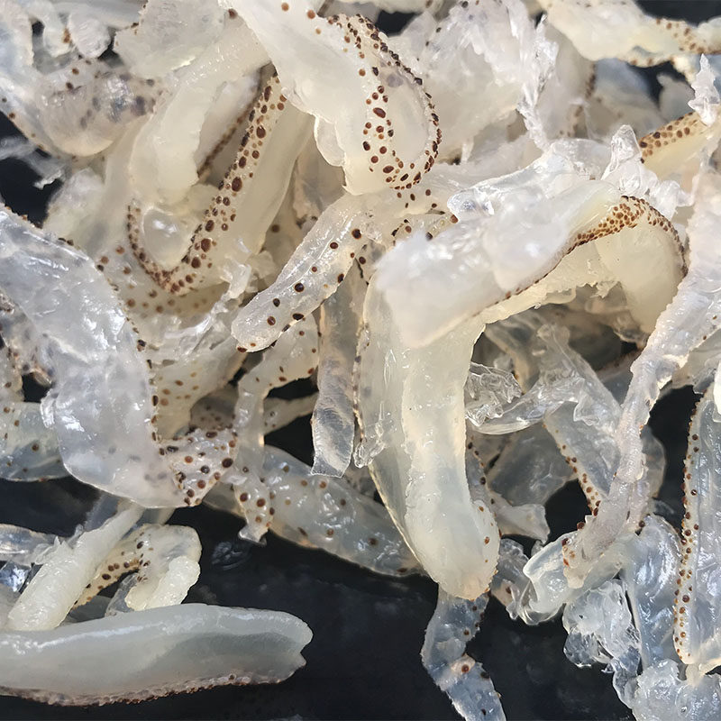 海蜇野生珊瑚珊瑚海白花丝非即食爽脆无沙凉拌海蜇