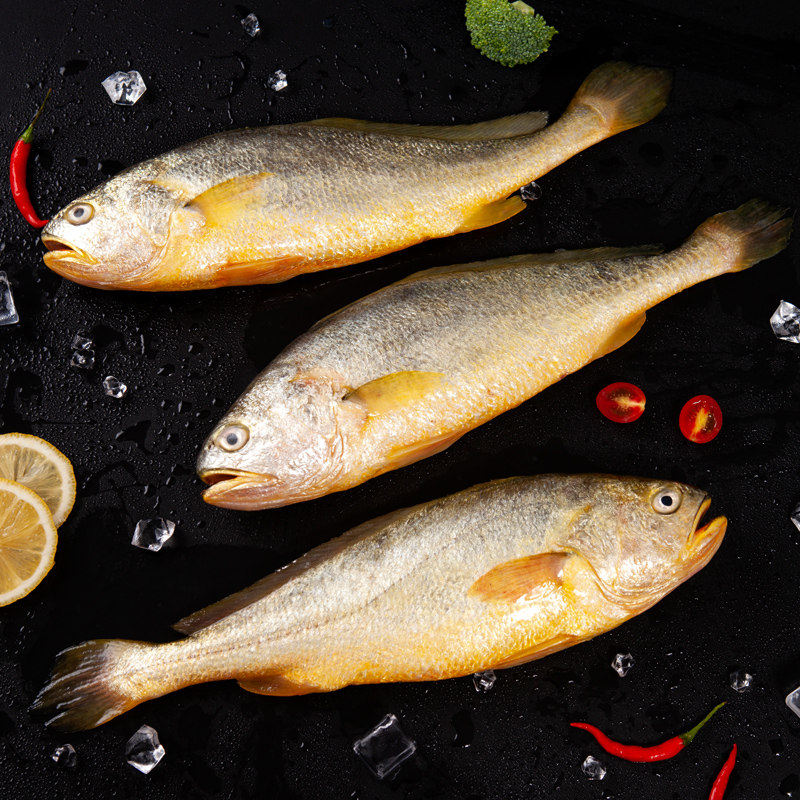 海鲜水产冷冻海鱼自家海捕大黄鱼冰鲜发货活黄花鱼小黄鱼500克
