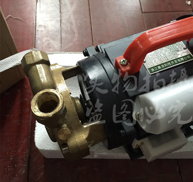 奥龙1/2dw-750w高压铜头是水泵 生物质锅炉专用 蒸汽发生器水泵