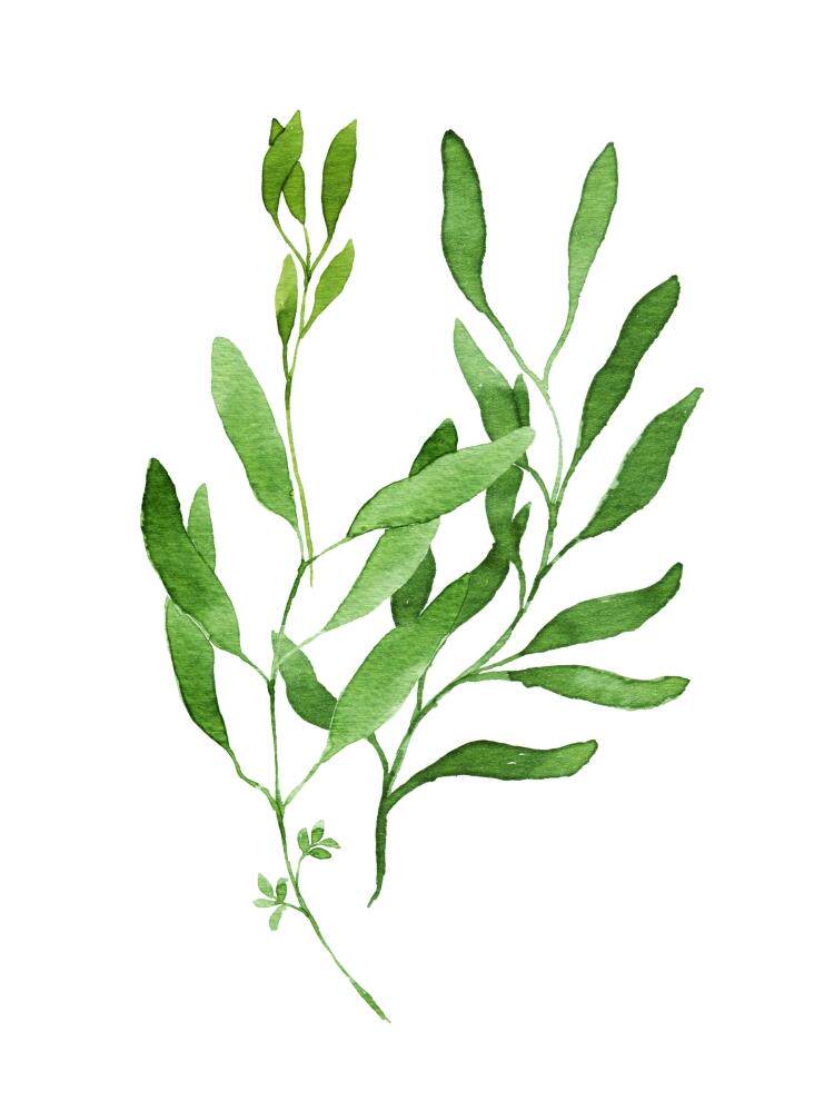 现代简约植物叶子画芯北欧小清新装饰画油画画布喷绘打印油画