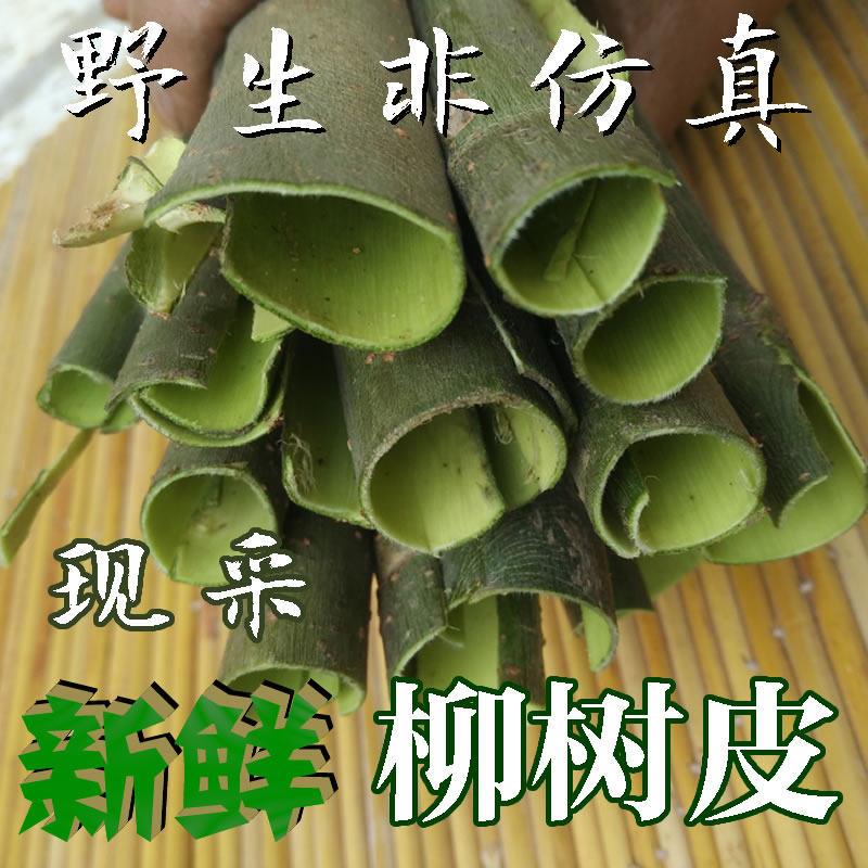 新鲜柳树皮现采野生柳皮柳树枝柳树芽柳树叶可入药中草药500g