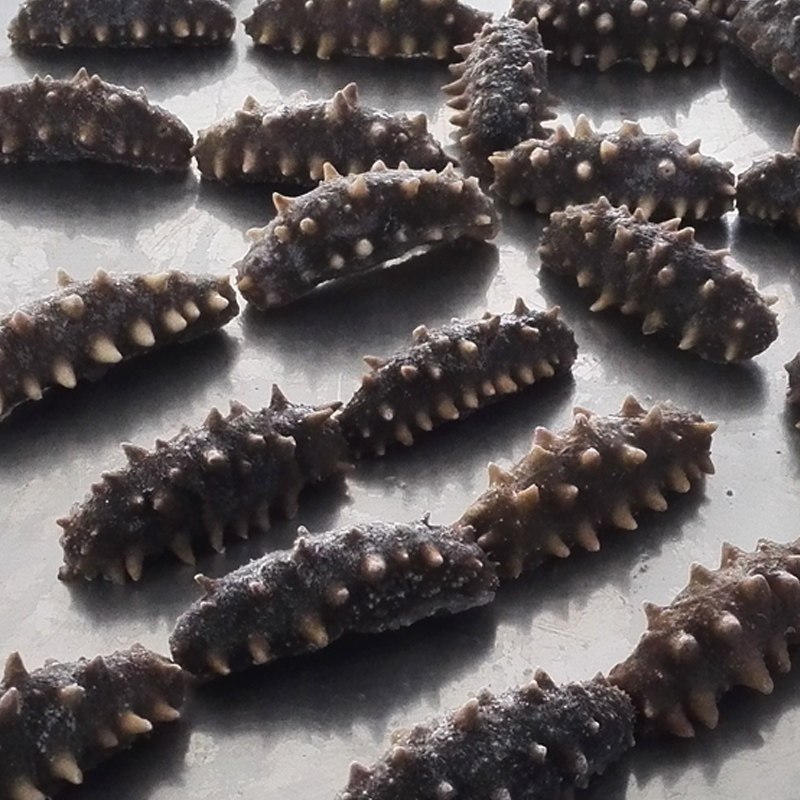 山东威海特产大海海底深海刺参即食海参无需海参