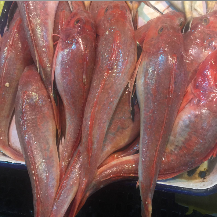 新鲜速冻红头500g红鞋红蟹红娘红娘子子鱼大连斑鱼