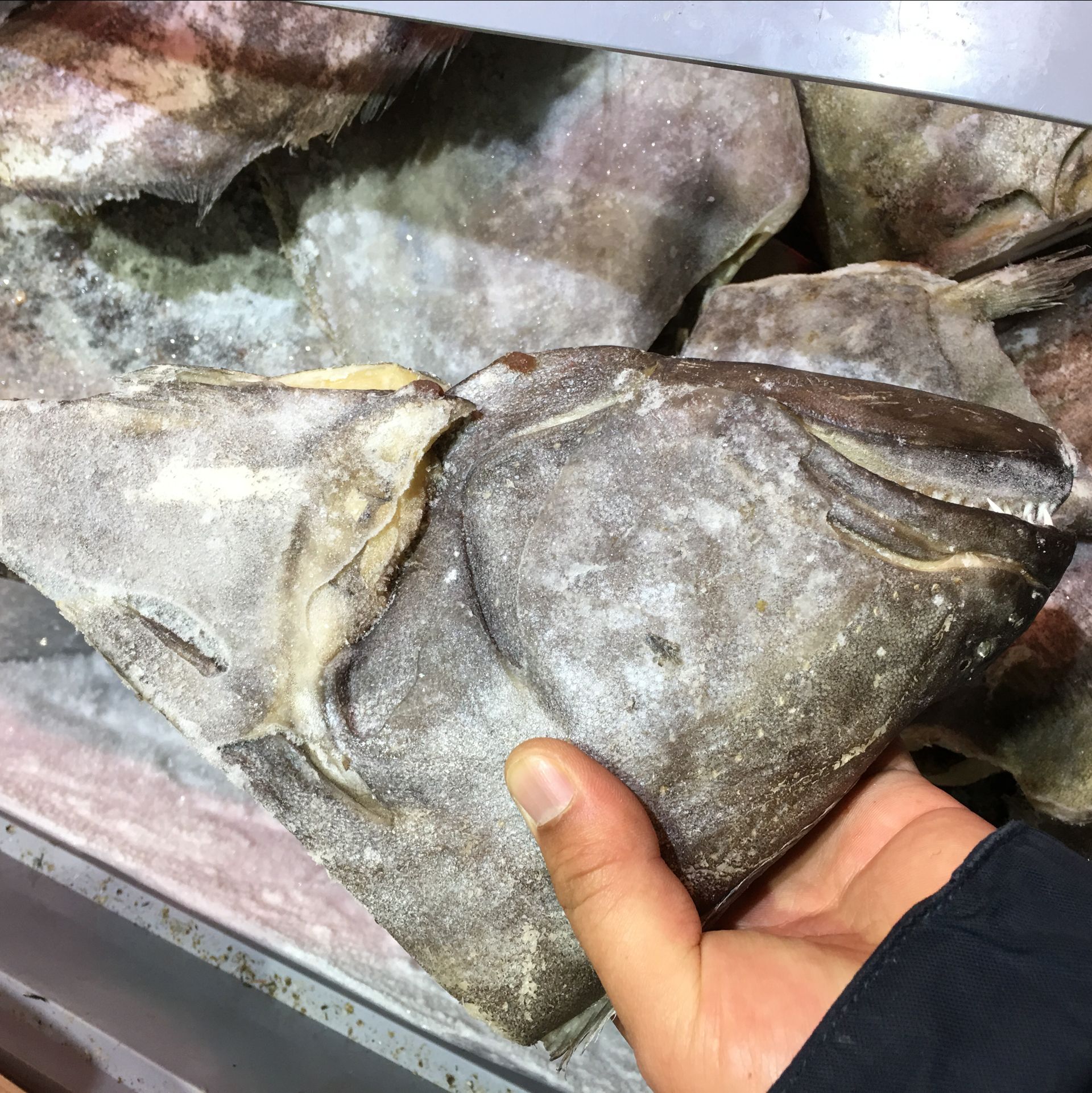 鱼头深海新鲜冷冻称重比目比目鱼营养美味大连鲽鱼