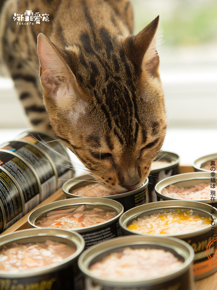 渐霏/德国miamor迈阿咪黑罐猫罐头补水肉片肉汁零食汤罐80g