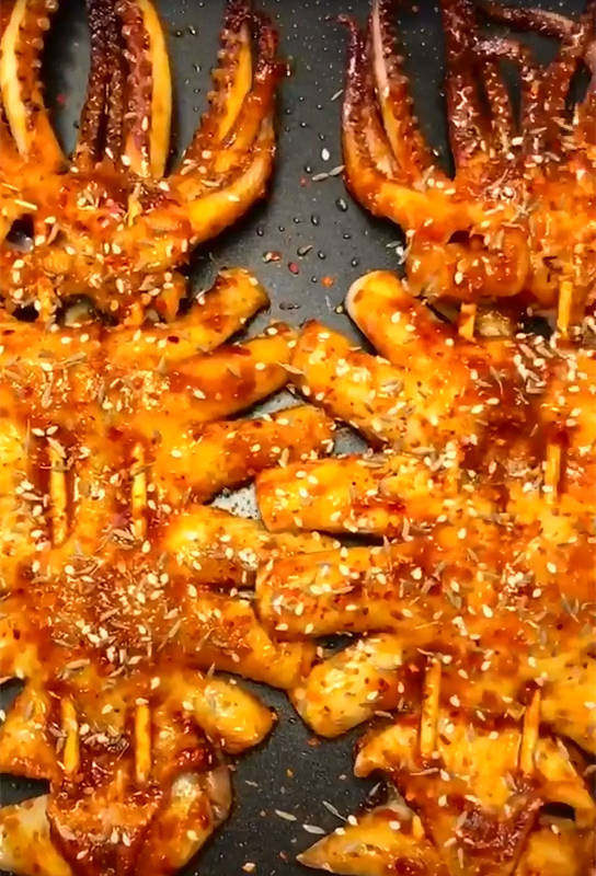 烧烤鱿鱼上海配送西北半成品鲜活海鲜水产真空冷冻鱿鱼