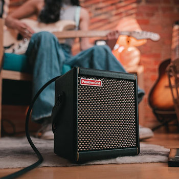 Positive Grid Speaker Spark GO Electric Guitar Bass Charging Bluetooth Outdoor Mini Portable CAB