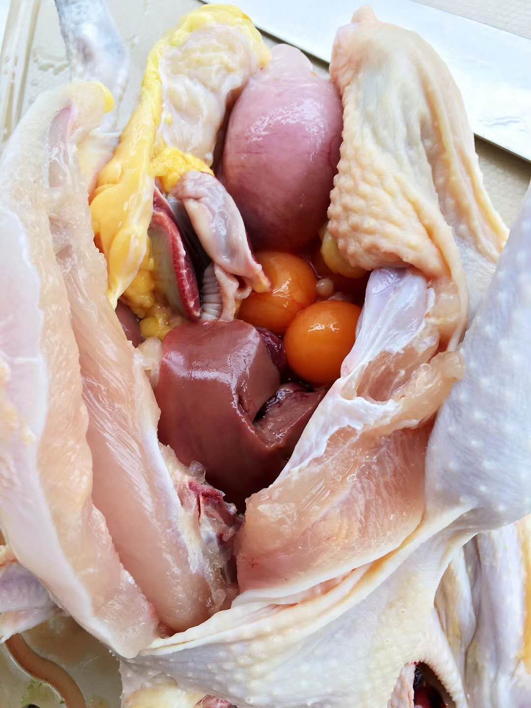 崇明本地鸡杀好包邮农村土鸡月子鸡散养蛋鸡一年走地鸡