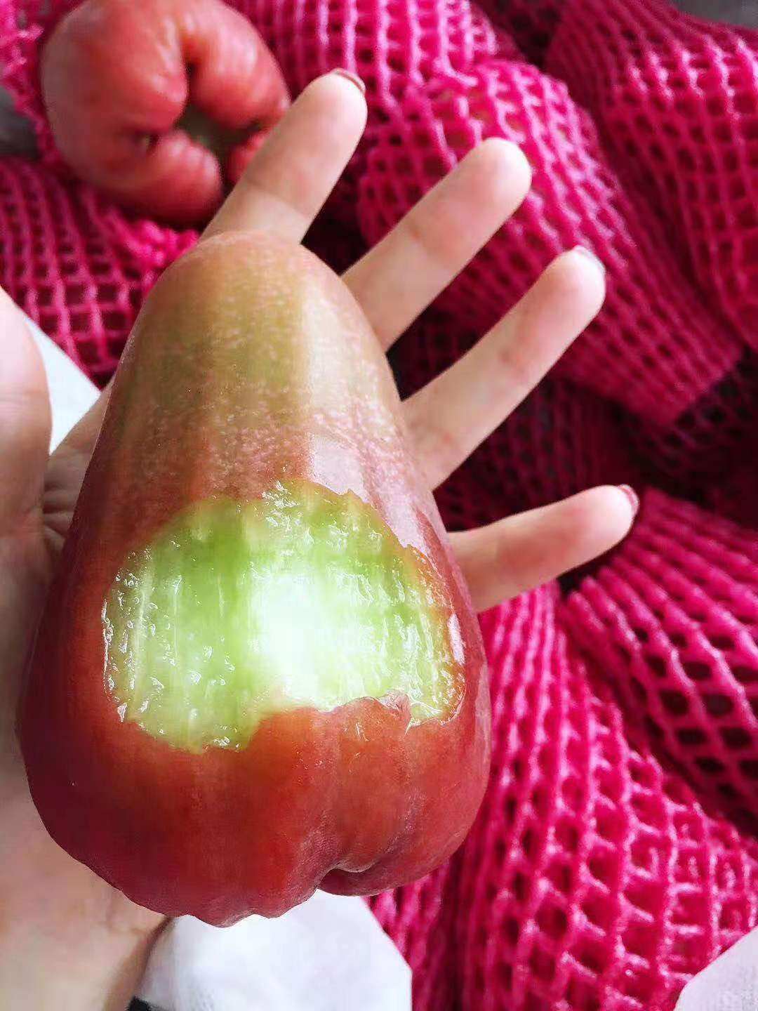 12斤大果正宗台湾进口香水巴掌莲雾新鲜水果莲雾