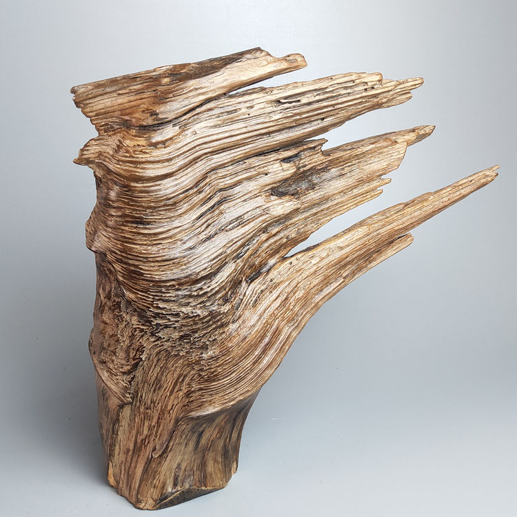 根雕松脂松节松瘤松树疙瘩松明明子居家装饰适景根雕