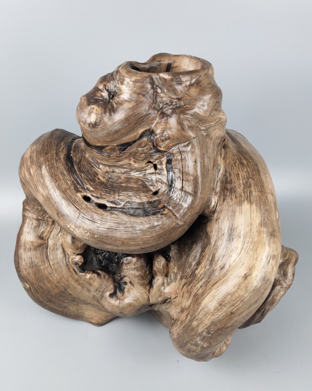 天然风化枯木树瘤创意根雕随形文玩件纯自然根雕