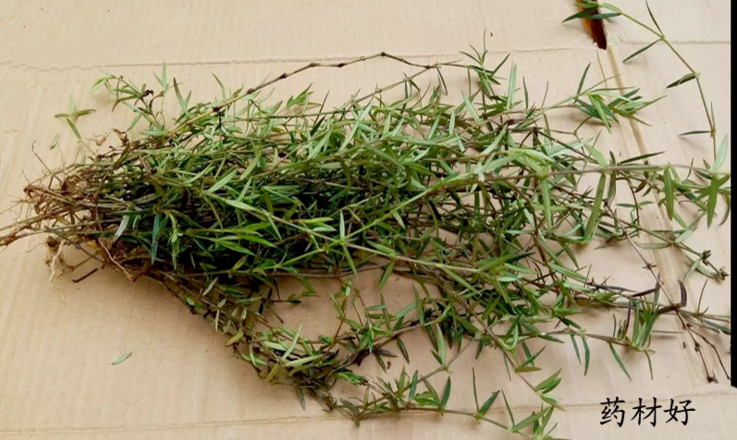 蛇舌潮汕新货干品野生百花花山白花乌骨500克其他药食同源食品