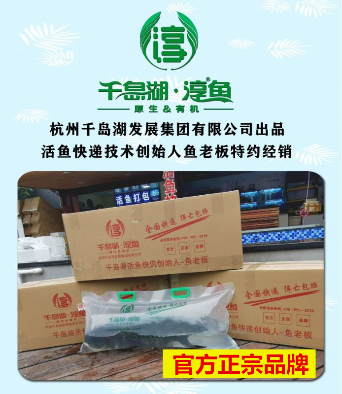 阵亡包赔官方正宗千岛湖淳牌有机胖头鱼王飞飞淡水鱼类