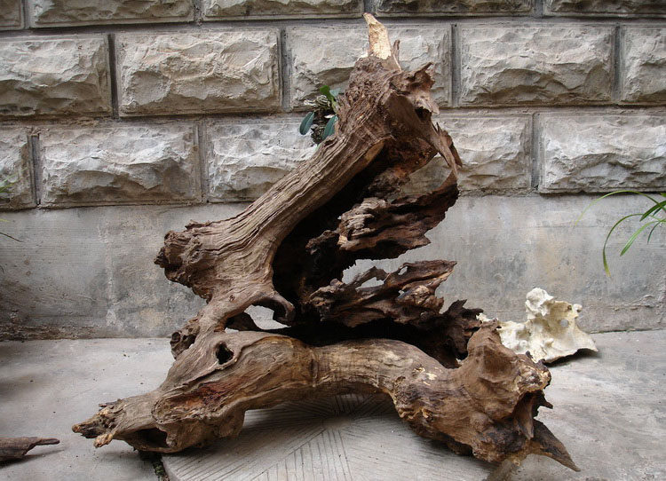 摆件树桩风化枯木根雕树根腐木老料天然根艺摆件