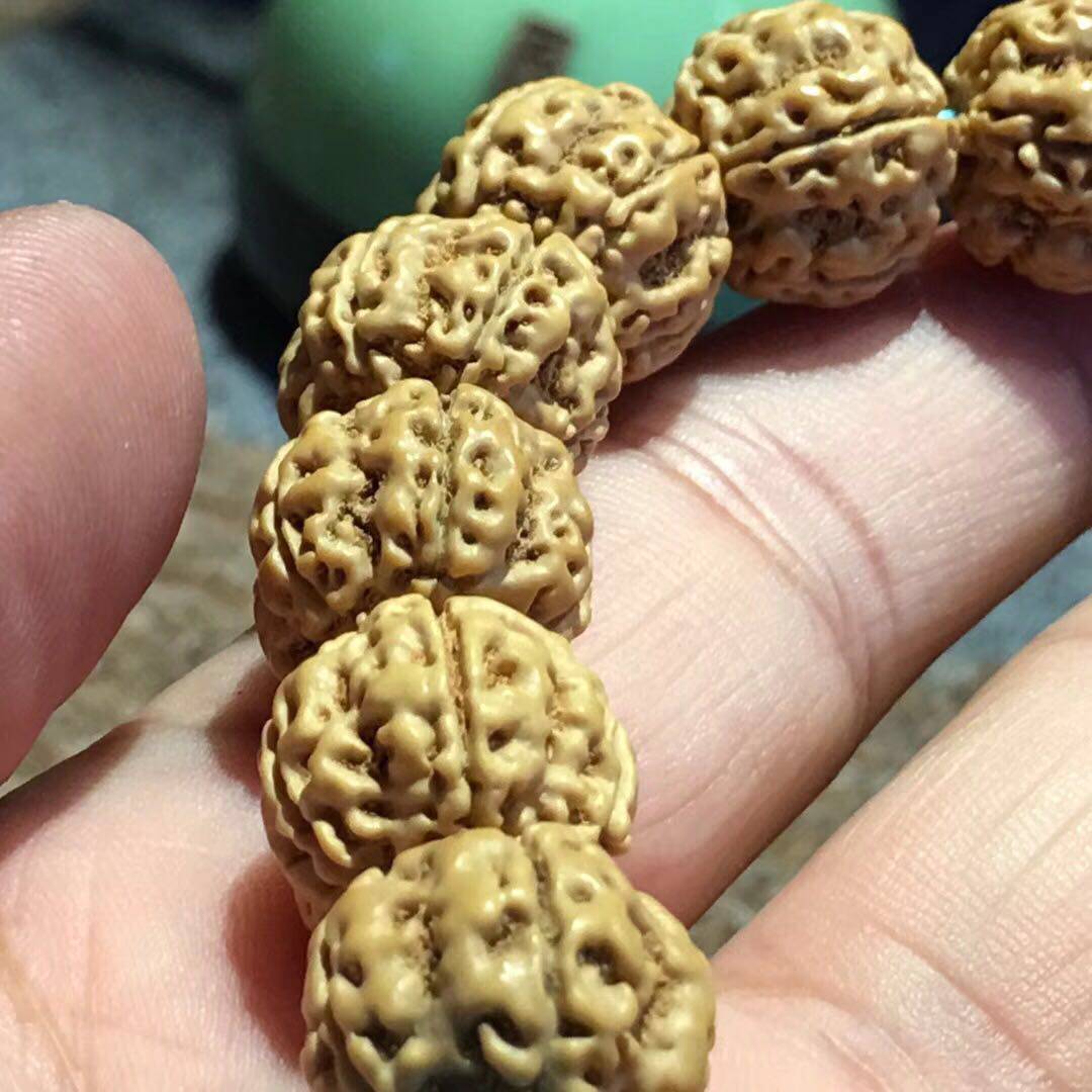 精品蜂王蜂窝双龙纹满肉小金刚菩提单圈手串手链