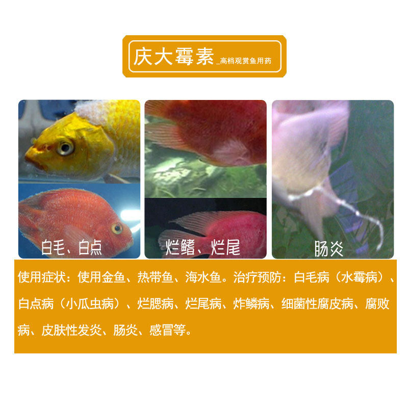 庆大霉素鱼用鱼药观赏锦鲤金鱼专用用药治疗烂身其他益生菌