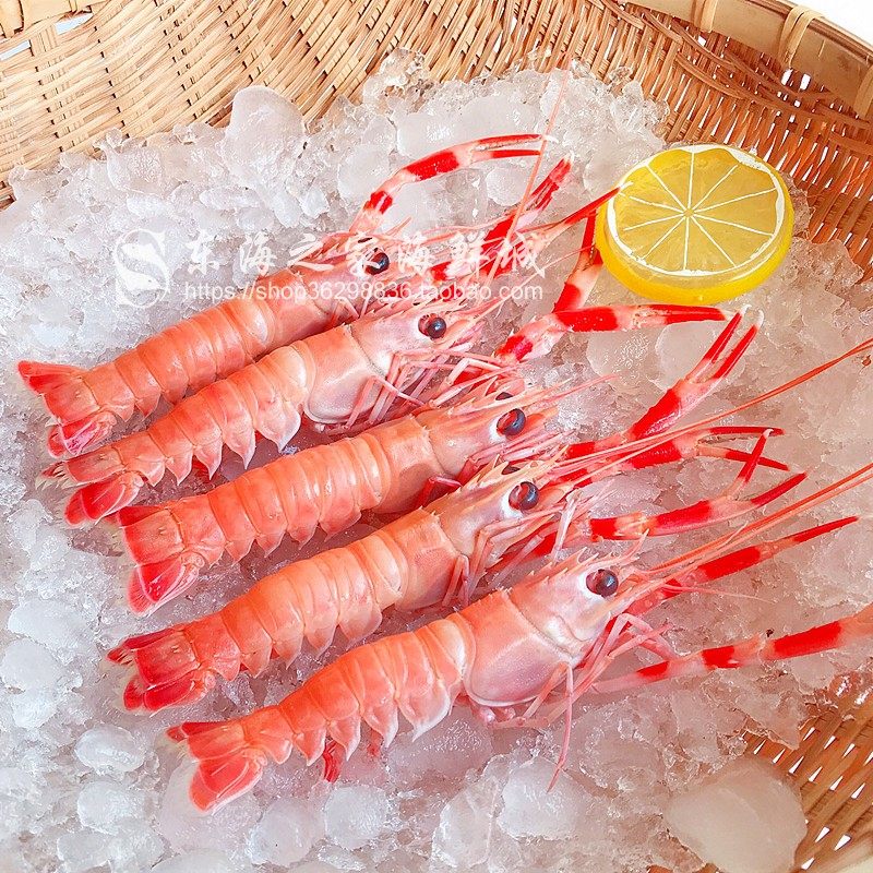 新货东海海螯虾鲜活冷冻铁甲新鲜小龙虾冻虾刺身级冻虾