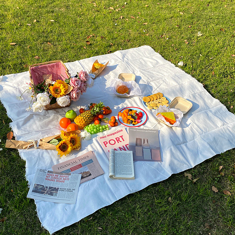 野餐野炊户外地垫草坪垫子便携郊游餐布田园桌布