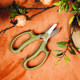 Began to take money home network red flower arrangement flower shop flower shears pruning shears dedicated florists gardening shears pruning tools Began to take money home network red flower arrangement flower shop flower shears pruning shears dedicated florists gardening shears pruning tools