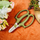 Began to take money home network red flower arrangement flower shop flower shears pruning shears dedicated florists gardening shears pruning tools Began to take money home network red flower arrangement flower shop flower shears pruning shears dedicated florists gardening shears pruning tools
