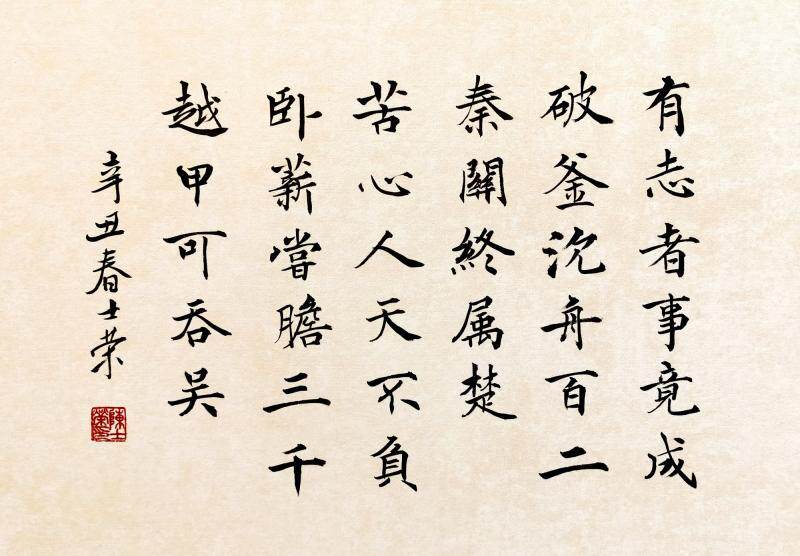 有志者事竟成破釜沉舟苦心人天不负卧薪尝胆书法真迹花梨木框书法