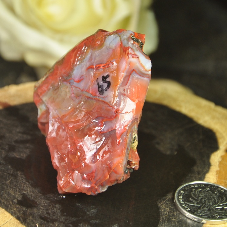 天然北票战国红缟玛瑙原石鸡血血红肉料辽宁摆件