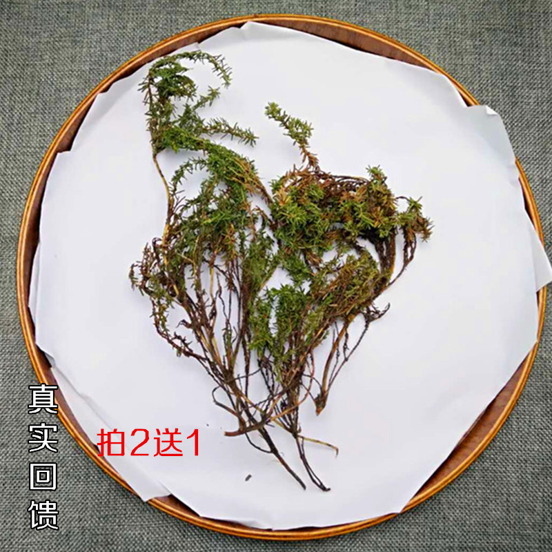 稳心草肝服灵草肝草药调节肝内蒙纯野生兴安岭20克2送1同款包邮
