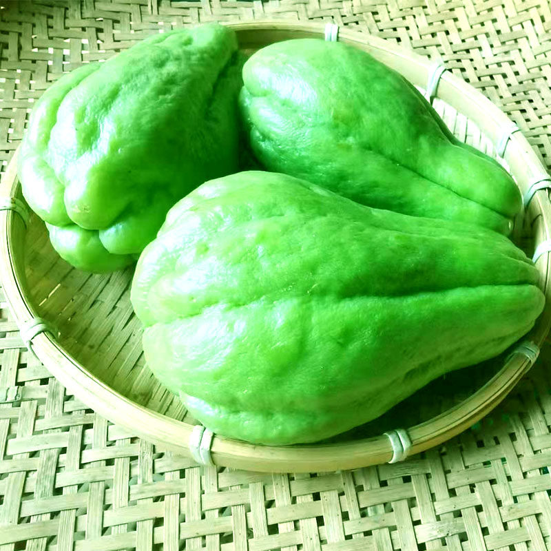 新鲜佛手瓜云南洋蔬菜现摘现发棒瓜寿瓜丝瓜佛手瓜