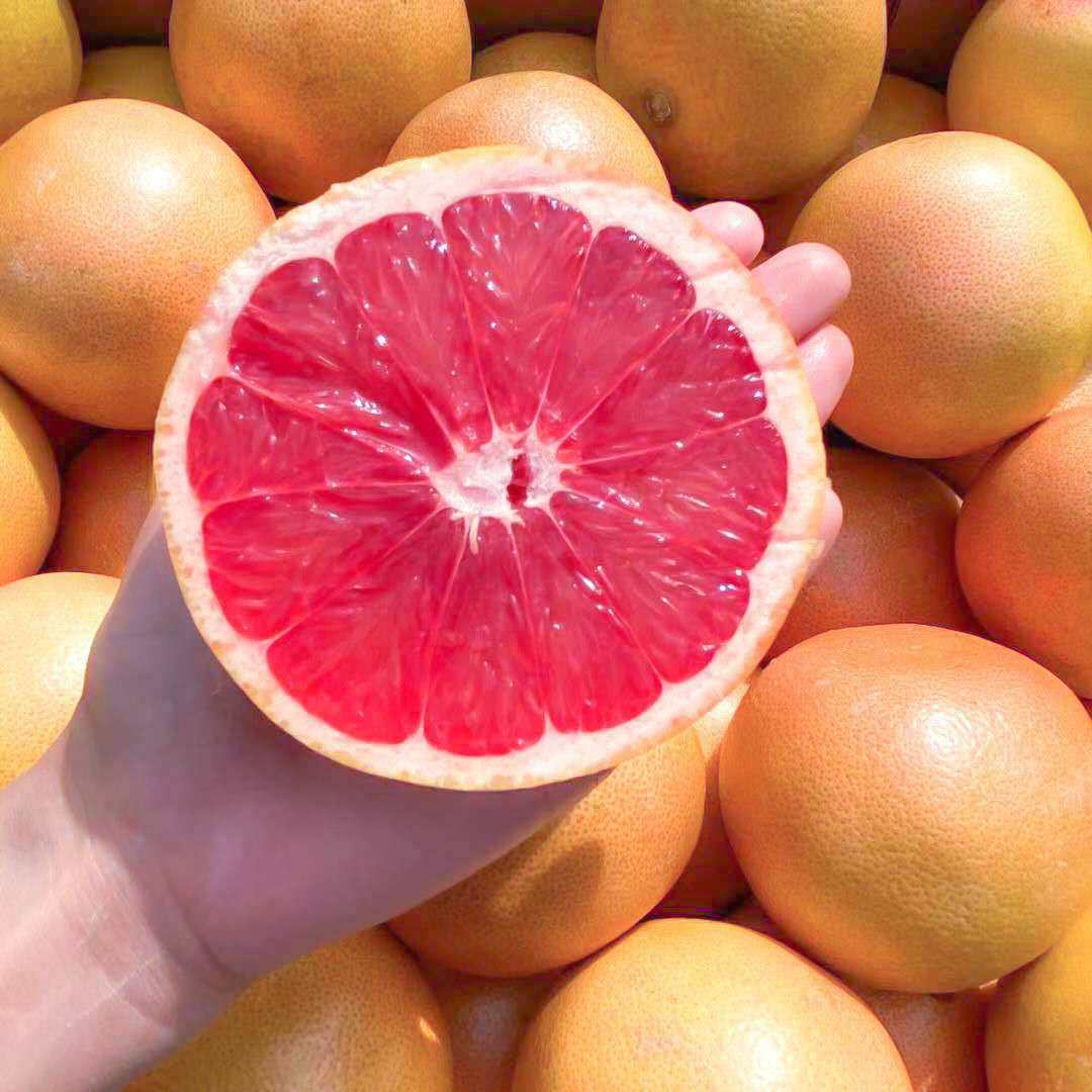 水果西柚柚子南非红心孕妇当季现摘红柚葡萄柚柚子