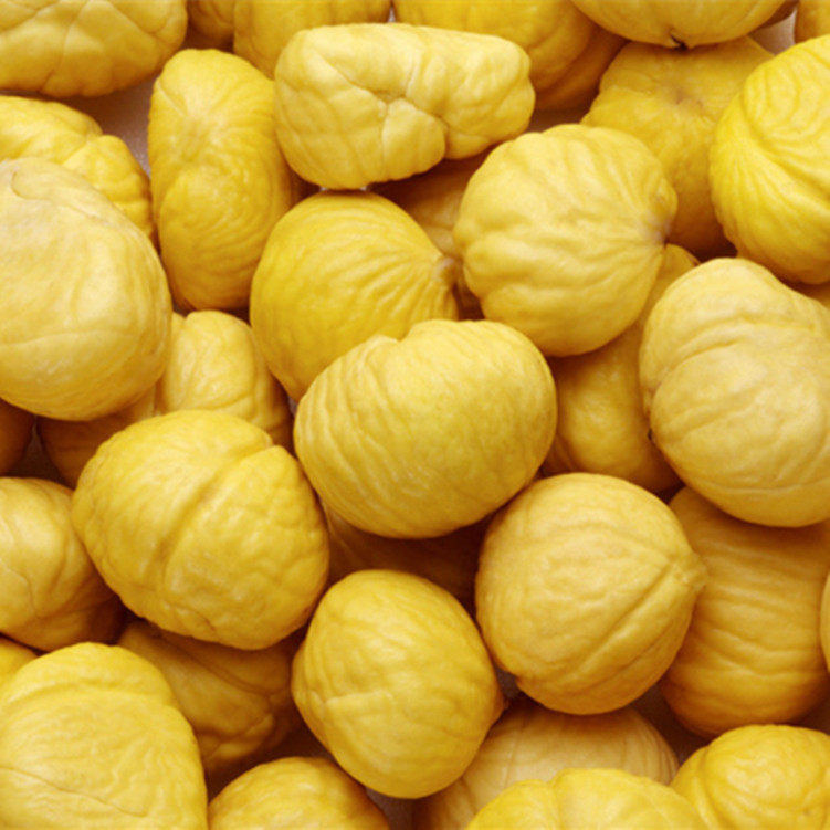 现剥5斤油栗老树毛栗板粟仁大新鲜野生农家新鲜板栗