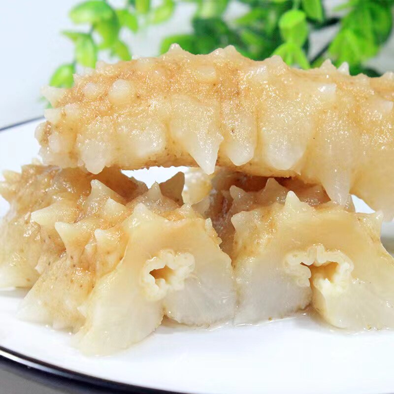 海参参非黄玉参即冰岛刺参黄金大连淡干干品