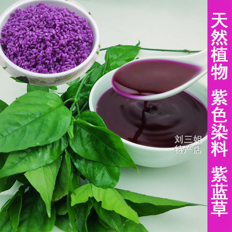 植物红蓝紫蓝草兰广西三月三五色糯米米饭染料叶菜类