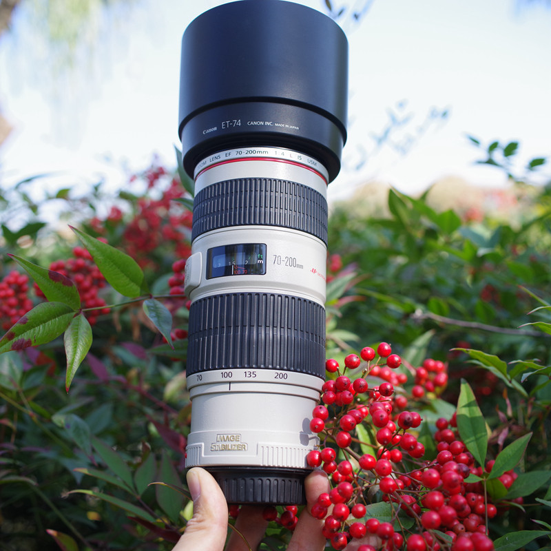 佳能70-200mm4lis70-200小小小白70-200f2.8iis小白兔单反镜头