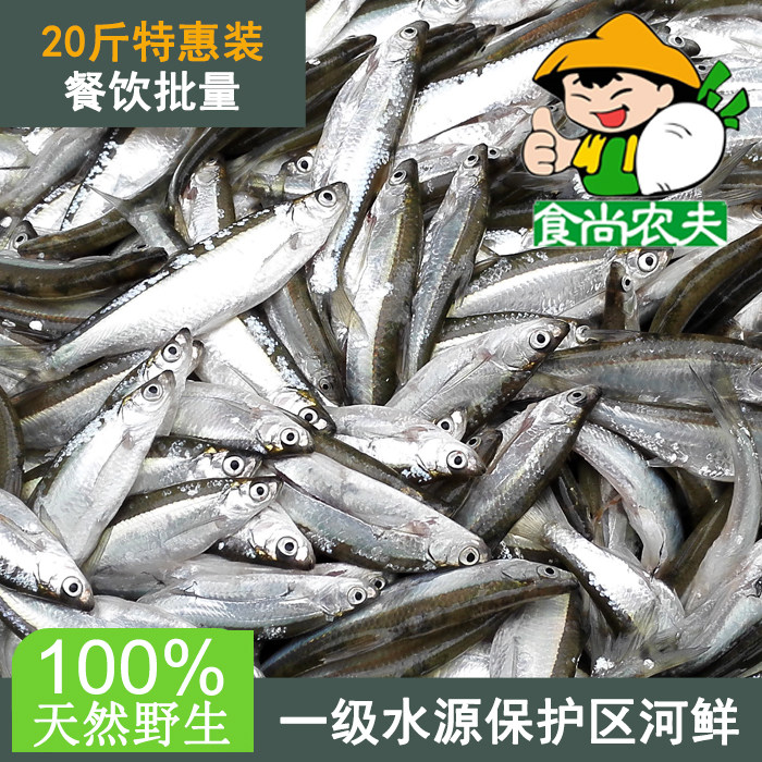 新鲜野生小刀刀鱼小河河鱼小白白条蓝刀20斤淡水鱼类